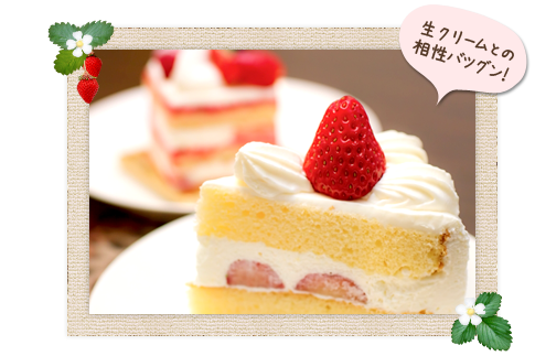 夏苺ショートケーキ